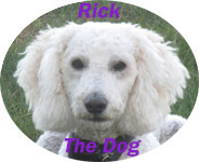rick the dog 02